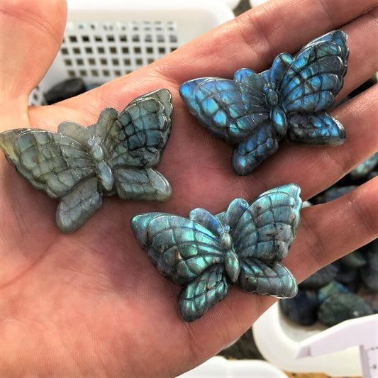 Labradorite Butterfly Carving Natural crystal carved